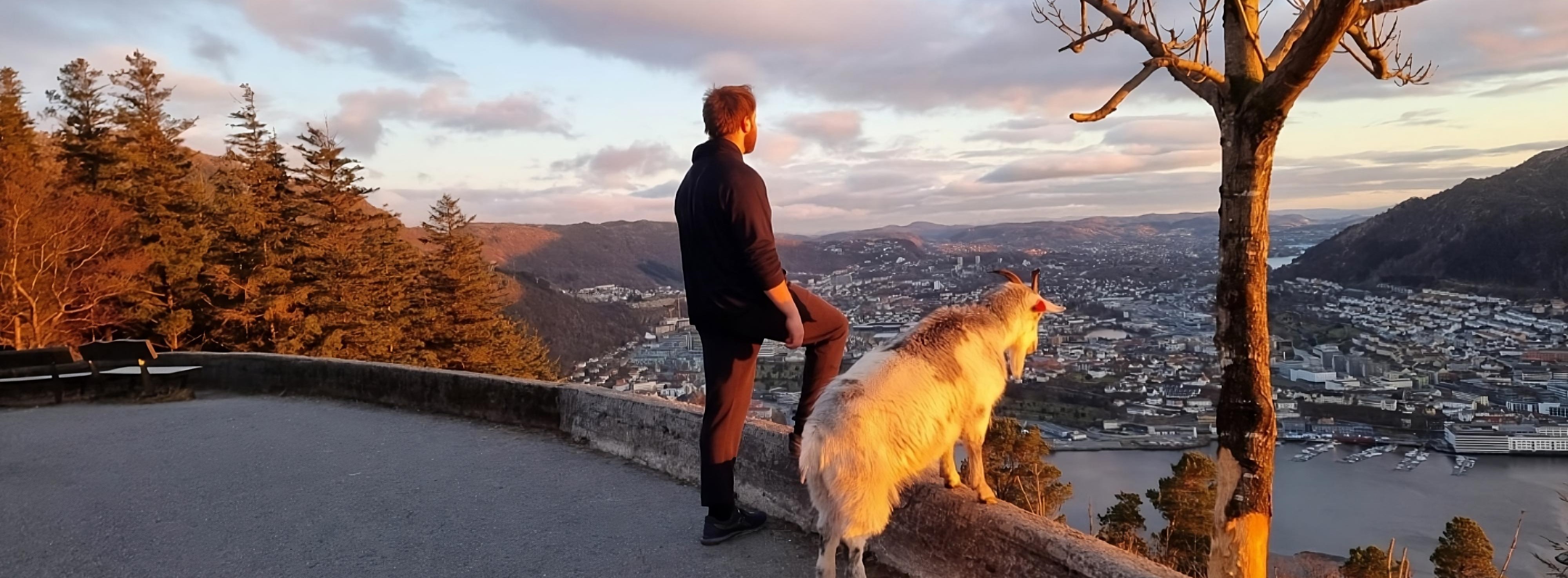 The view from Fløyen of Bergen